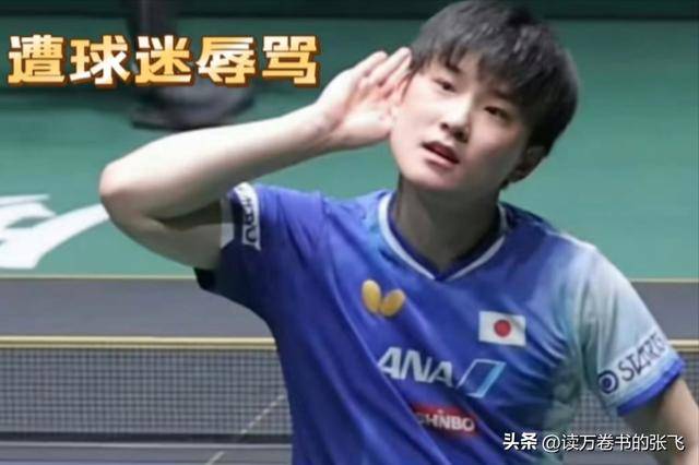 关于中国队力克德国队，张本智和点燃赛场的信息