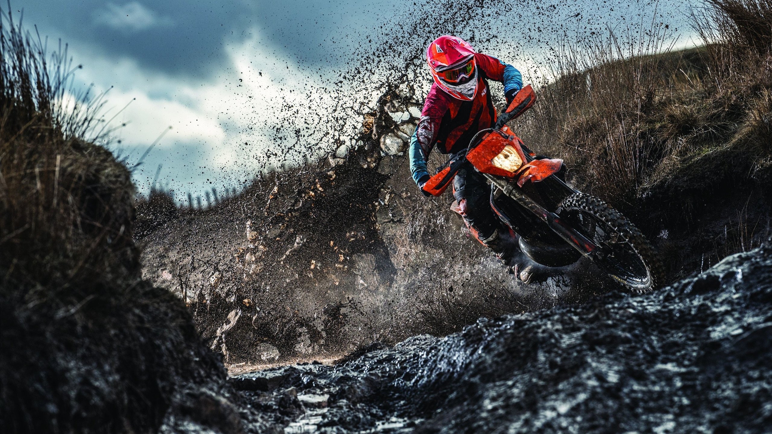 开云下载-骑士正面击溃尼克斯，霍勒迪成为胜负手